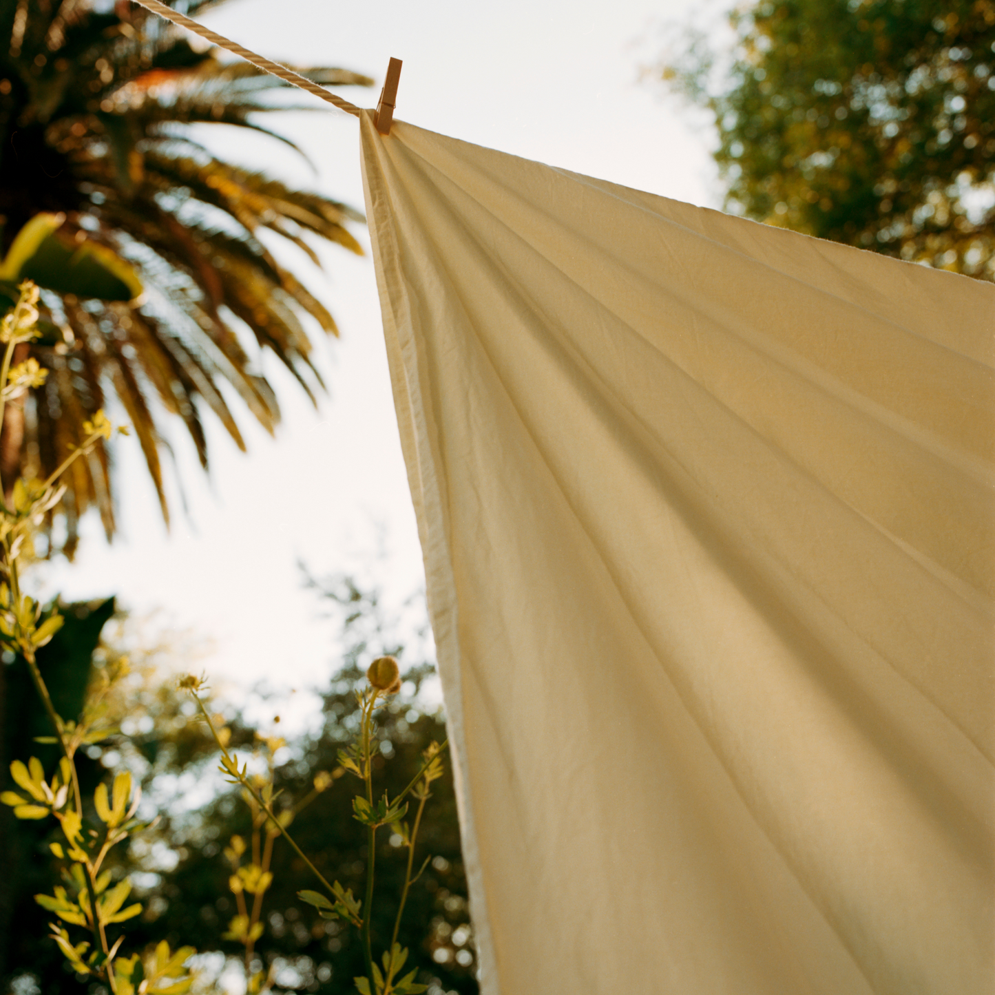Yuzu Yellow Percale Duvet