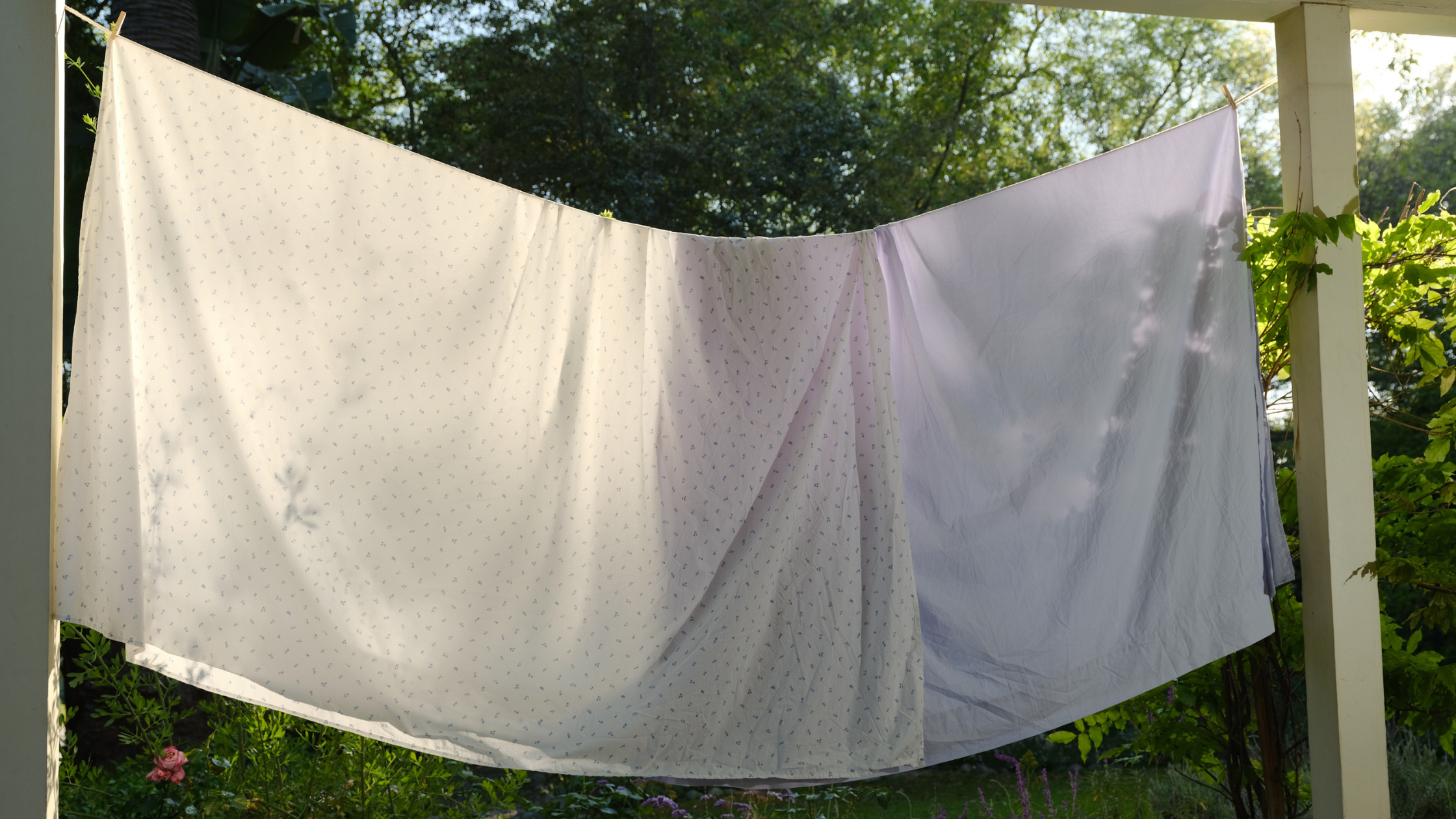 Sleep Better Naturally: The Wellness Benefits of Cotton Bedding