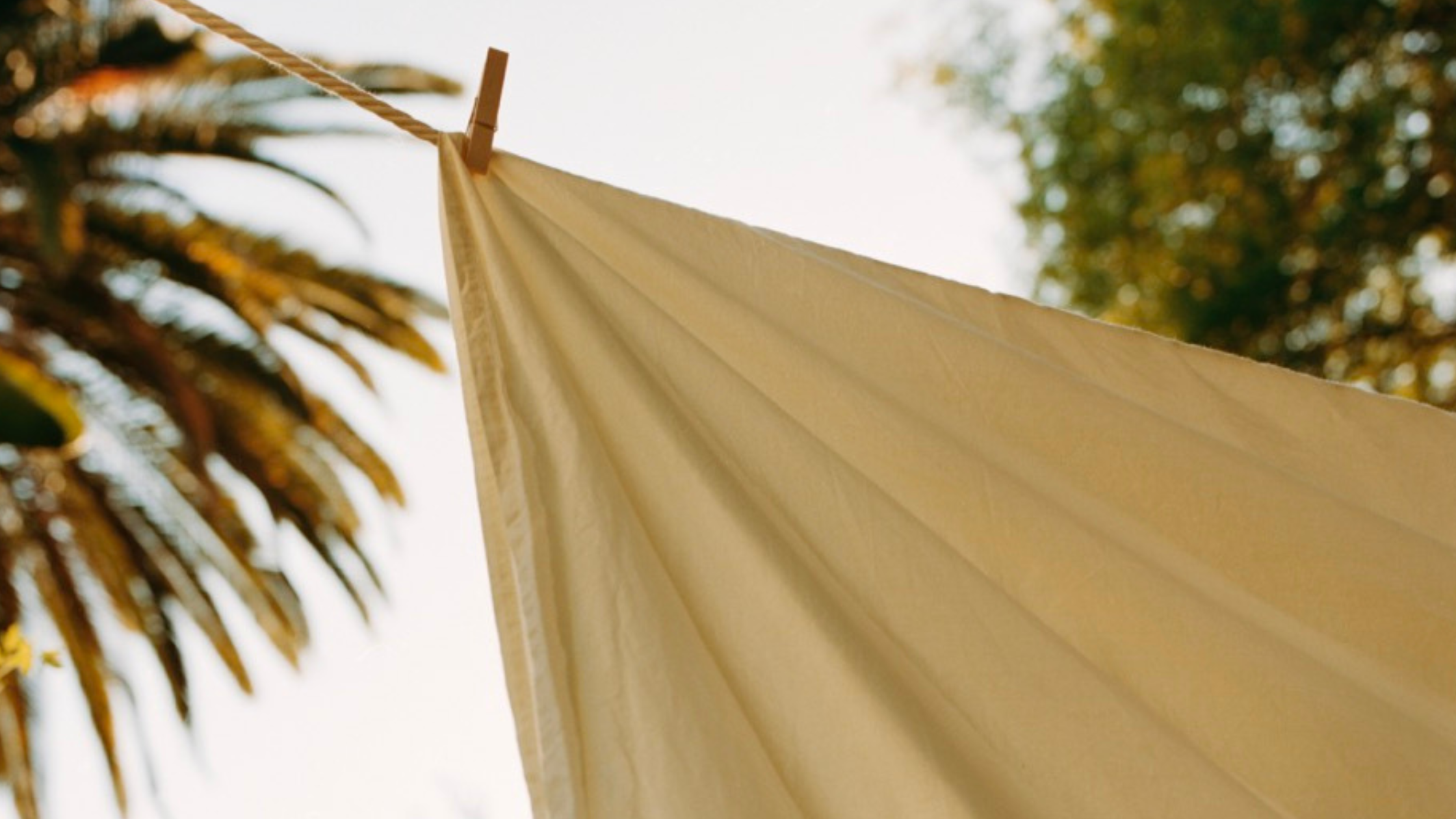 Color Stories: Yuzu - The Quest for the Perfect Soft Yellow Bedding